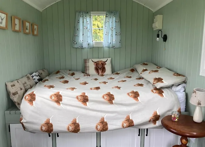 Bells Meadow Shepherds Hut