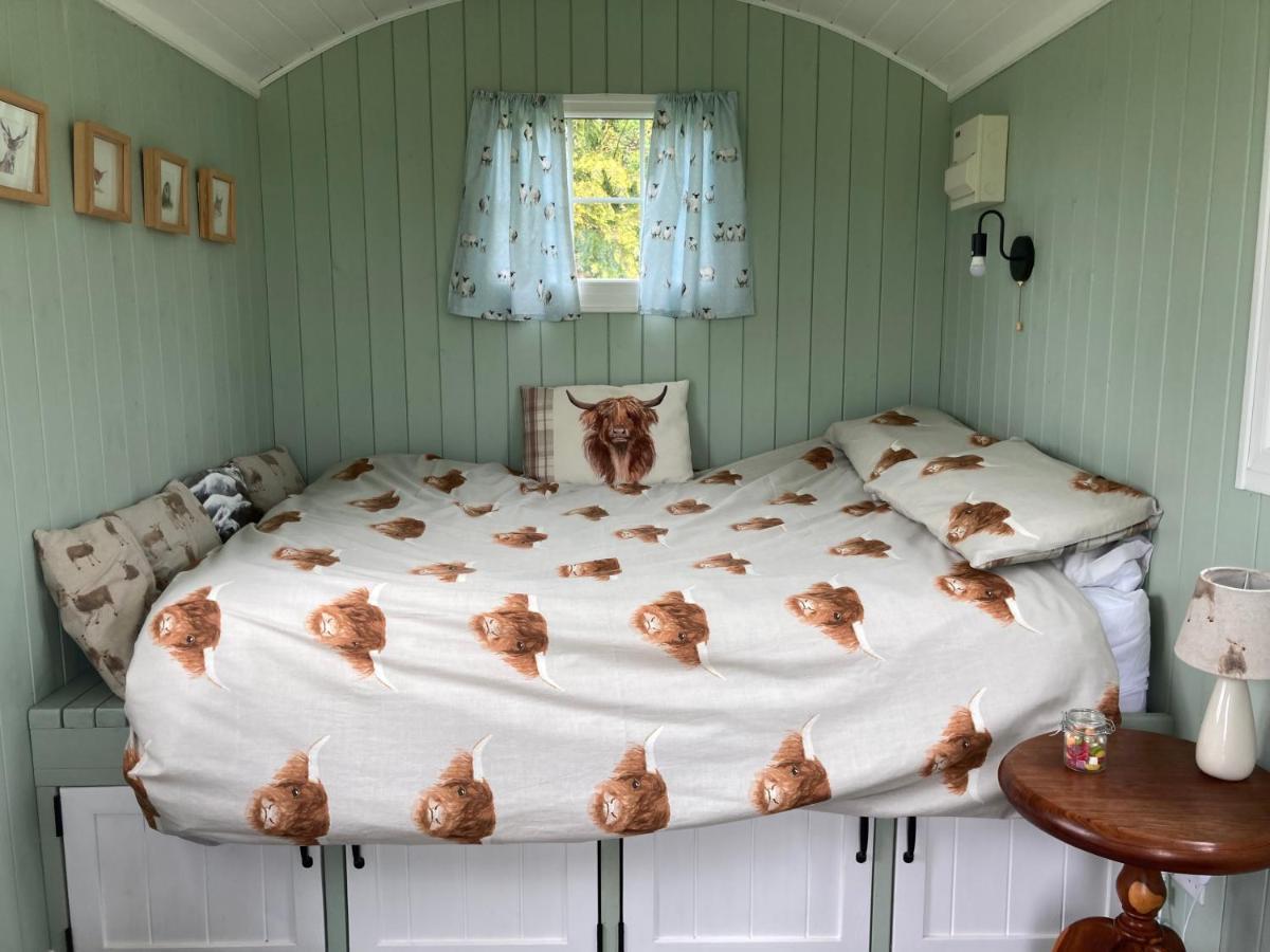 Bells Meadow Shepherds Hut King's Lynn