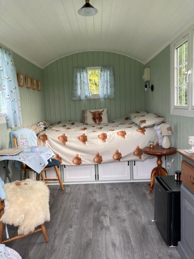 Campsite Bells Meadow Shepherds Hut