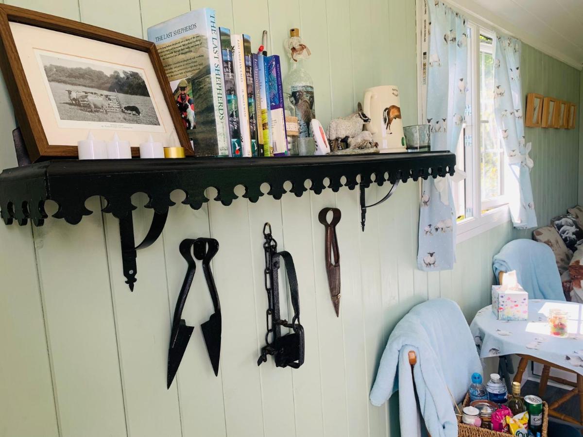 Bells Meadow Shepherds Hut King's Lynn