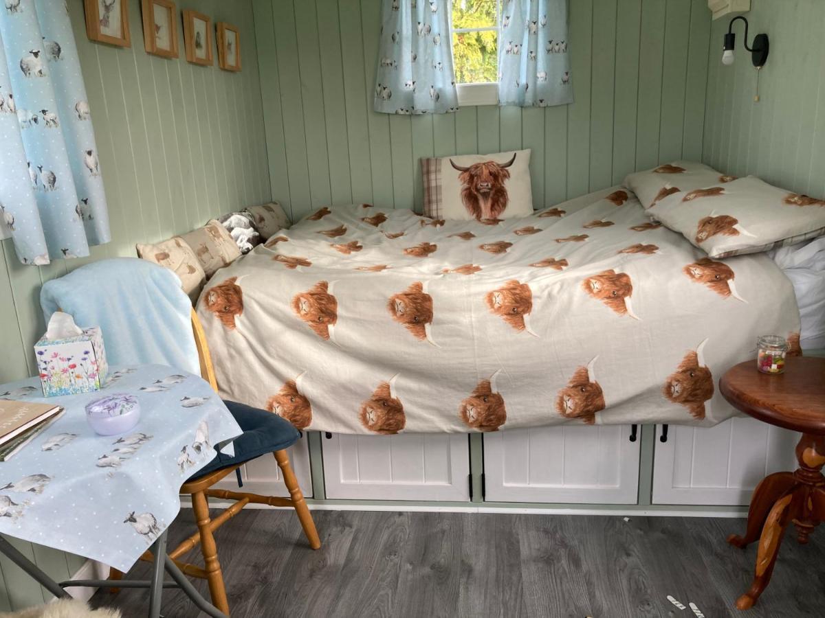 Bells Meadow Shepherds Hut King's Lynn
